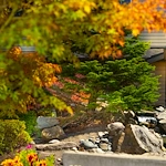 Image of Gibson Gardens (2)