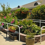 Image of Life Care Center Of Wichita (10)