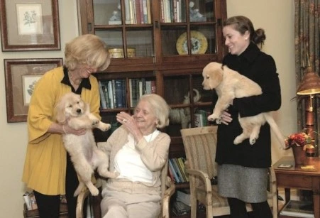 Image of Academy at Bella Vista (2)