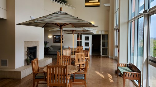 Sunny areas to enjoy visiting
