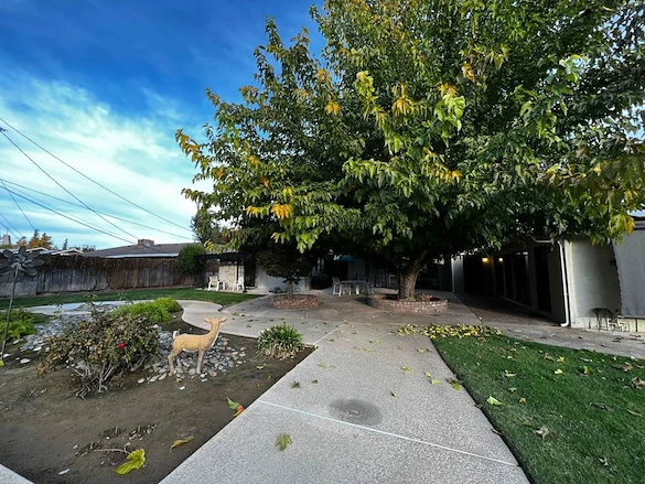 Image of Chateau Jesadean (8)