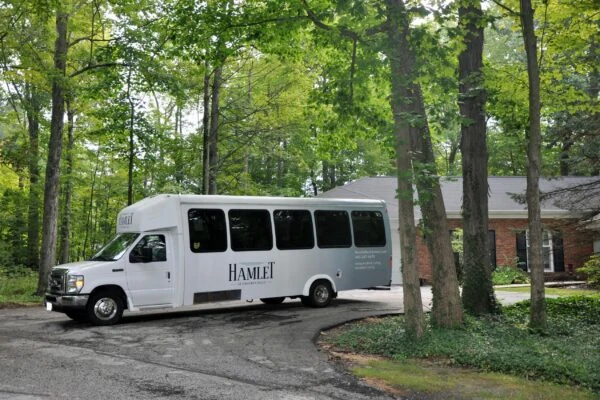 Image of Hamlet at Chagrin Village (3)