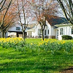 Image of HCC at White Horse Village (1)