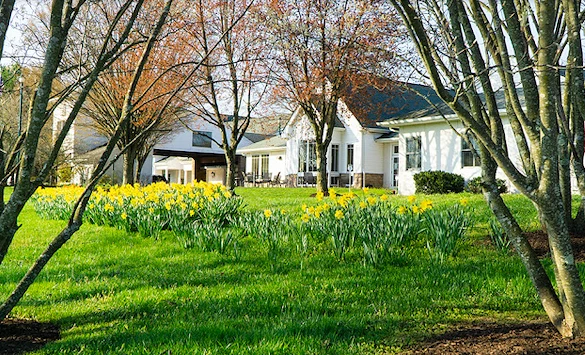 Image of HCC at White Horse Village (1)