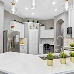 Image of Silver Leaf Frisco (5)