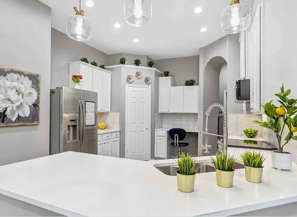 Image of Silver Leaf Frisco (5)