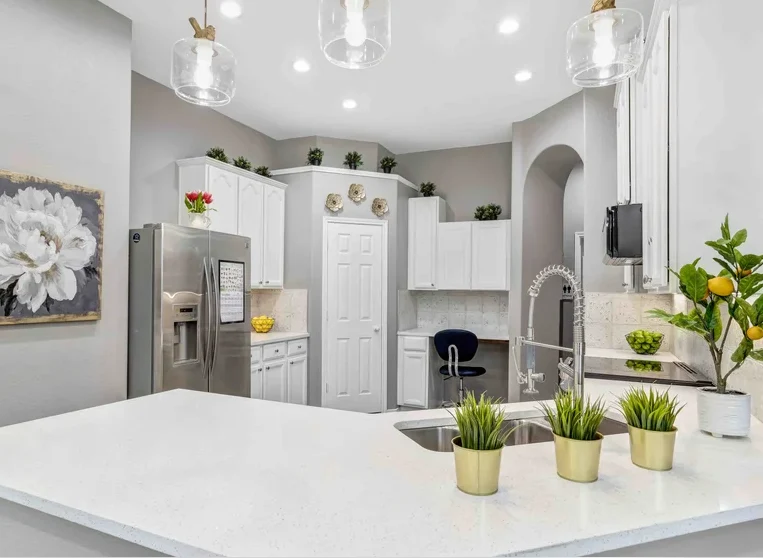 Image of Silver Leaf Frisco (5)