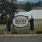 Image of Hawksbill (6)