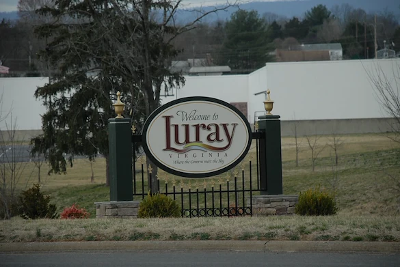 Image of Hawksbill (6)