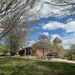 Image of Lily Brook (2)