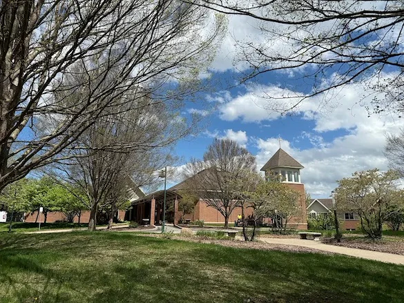 Image of Lily Brook (2)