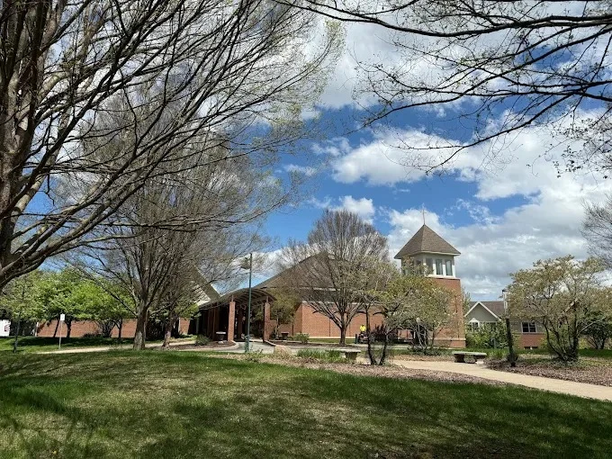 Image of Lily Brook (2)