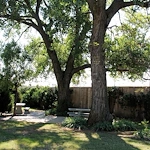 Image of Berrywood Terrace (2)