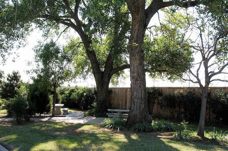 Image of Berrywood Terrace (2)