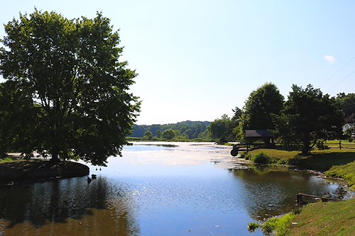 Image of Quality Life Services - Sugar Creek (1)