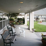 Image of The Iris by Bonvaneture (9)