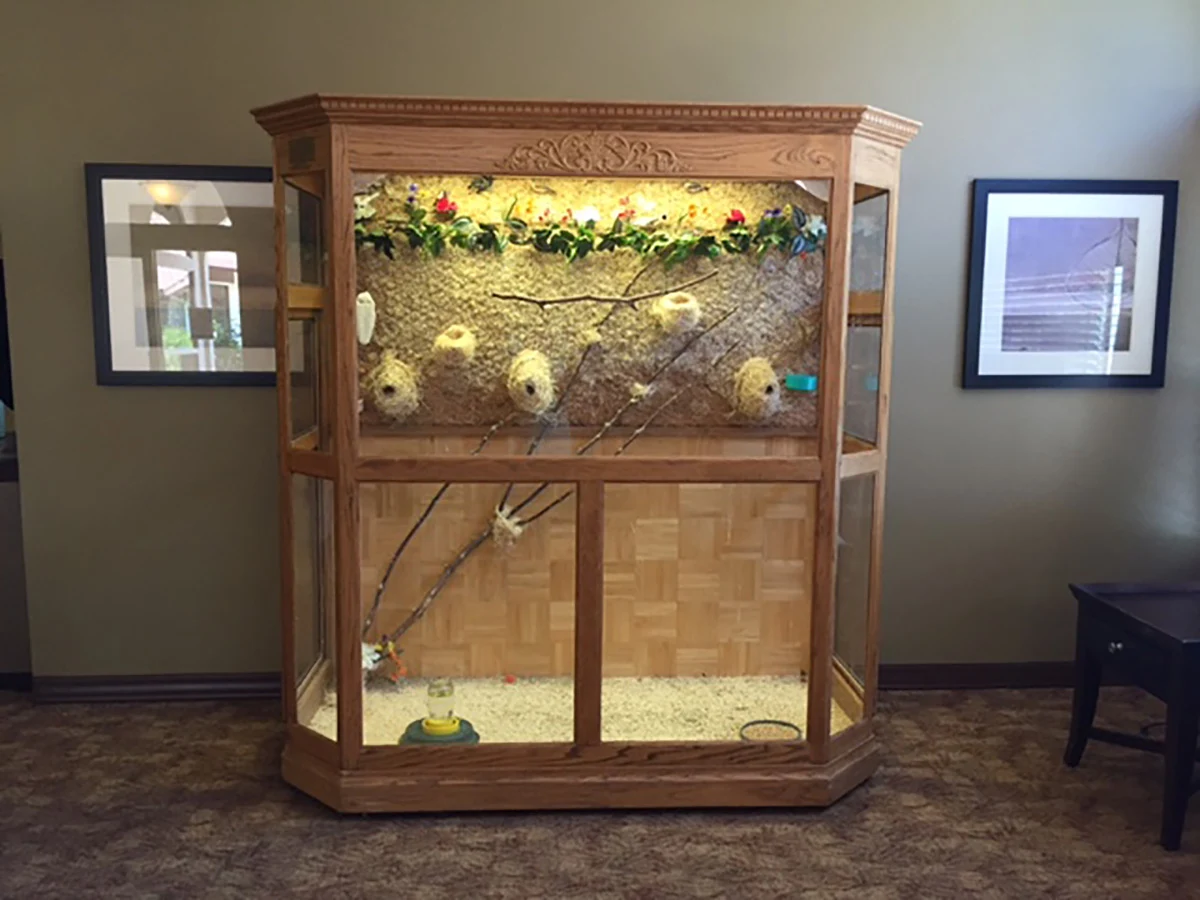 Image of Golden Sonora Care Center (5)