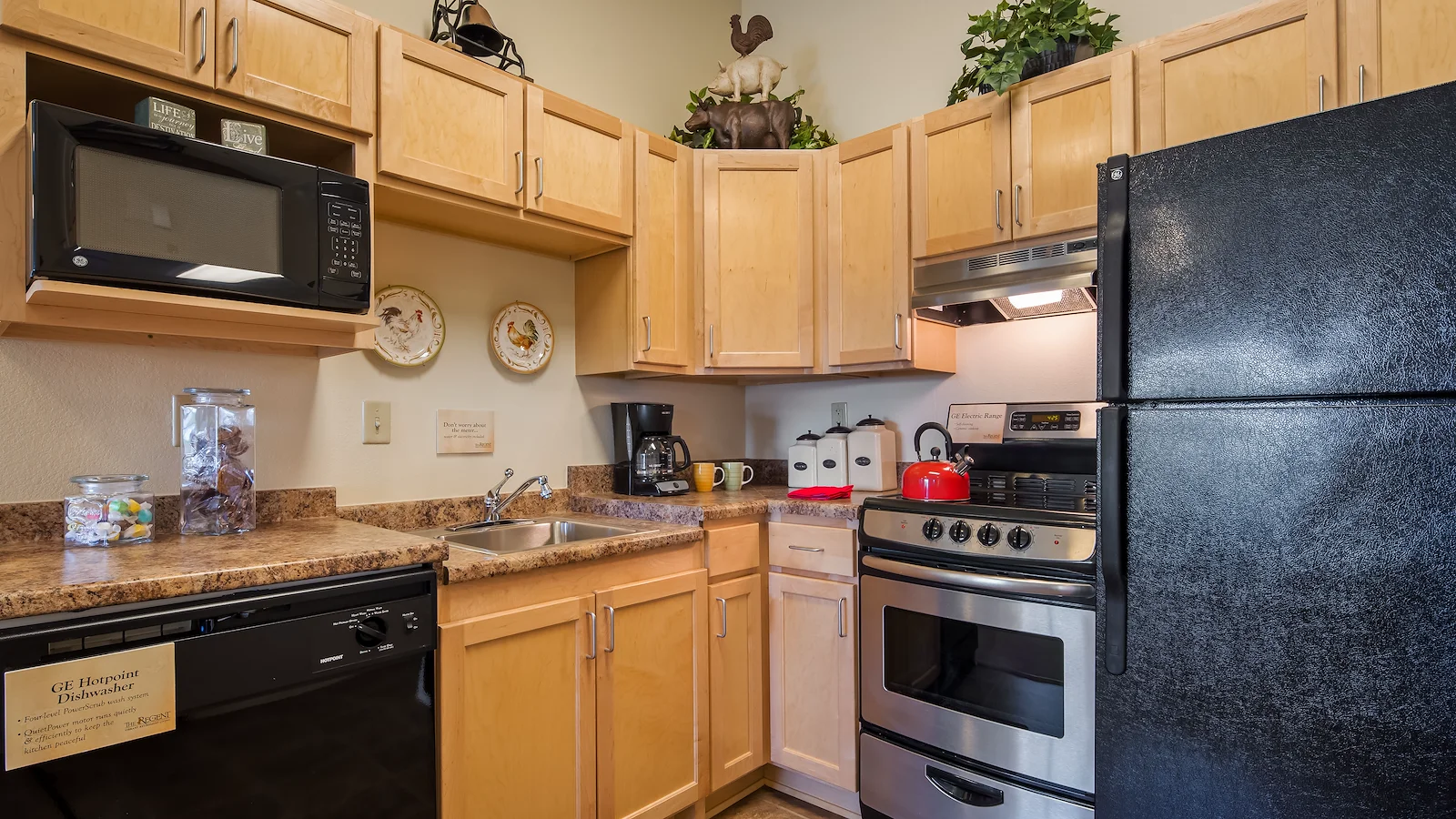 Image of The Regent Independent Living (9)