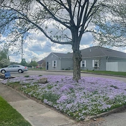 Image of Optimized Senior Living - Kettering (2)