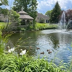 Image of Maple Knoll Village - Senior Living (4)