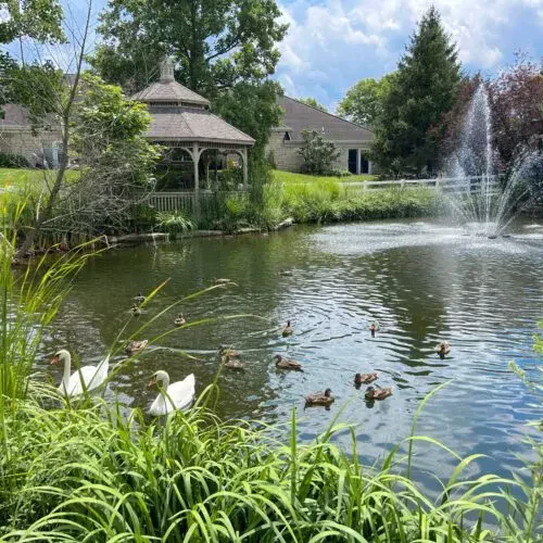 Image of Maple Knoll Village - Senior Living (4)