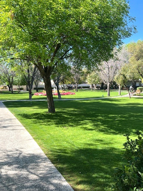 Grounds