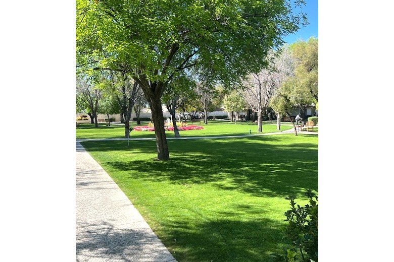 Grounds