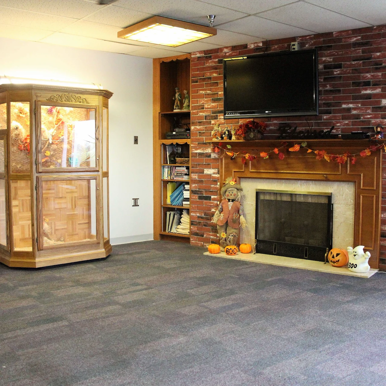 relaxing fireplace and bird aviary
