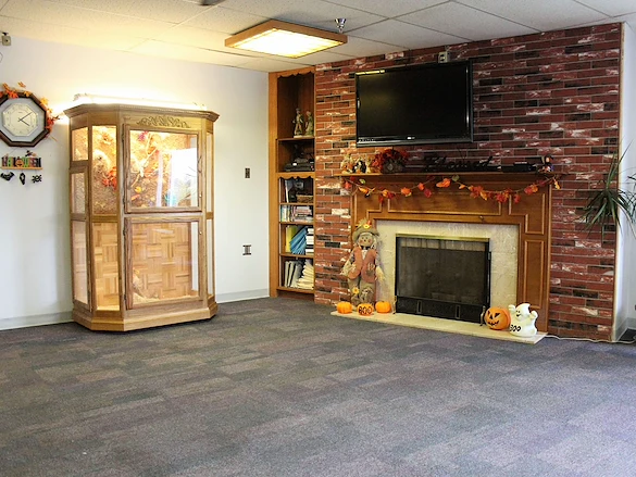 relaxing fireplace and bird aviary