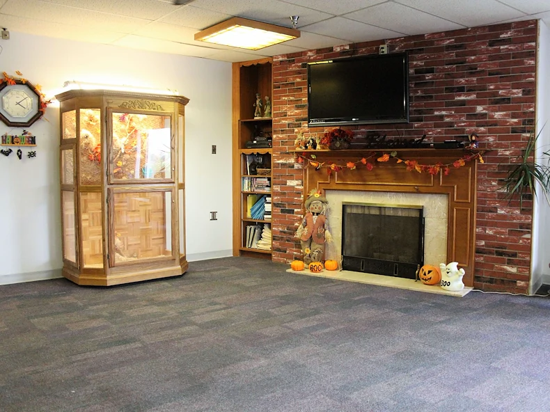 relaxing fireplace and bird aviary