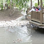 Image of Cerenity Senior Living Marian (9)