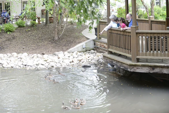 Image of Cerenity Senior Living Marian (9)