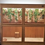 Image of Embassy of Swanton Assisted Living (4)