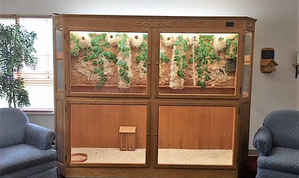 Image of Embassy of Swanton Assisted Living (4)