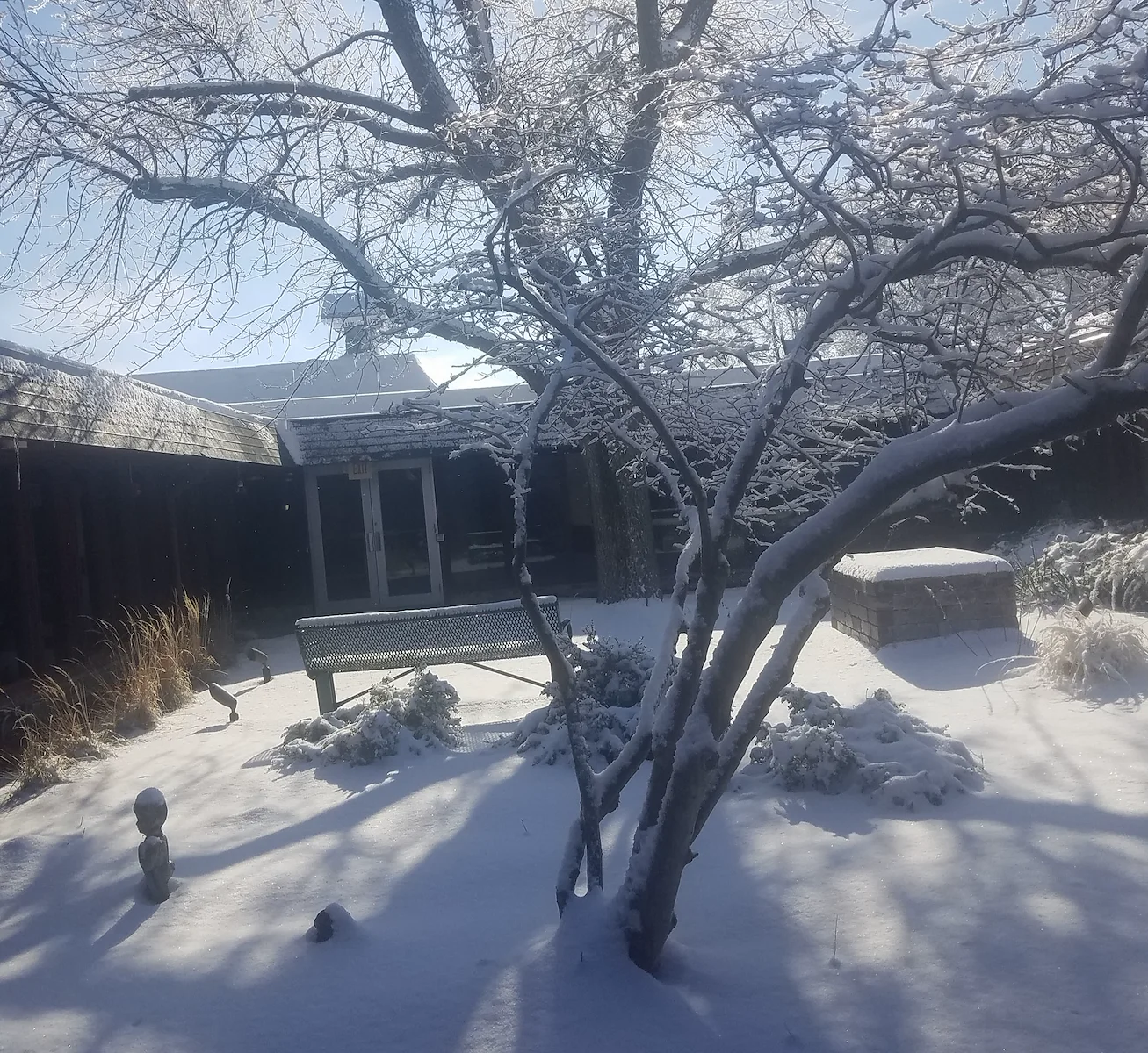 Image of Mercer Manor Rehabilitation (3)