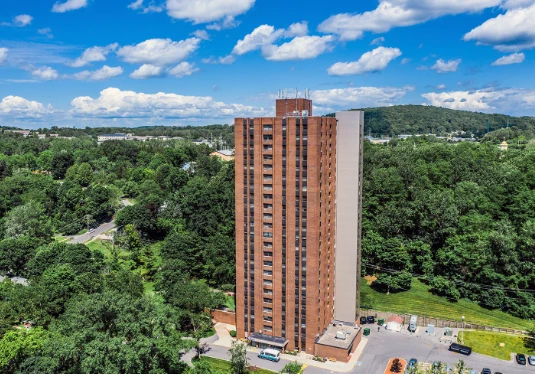 Image of The Bernardine (1)