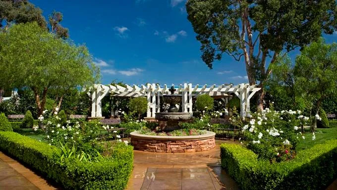 Image of Newport Nursing And Rehabilitation Center (8)