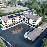 Image of Heywood Gardens (1)