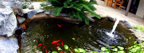 Image of Stanford Court Skilled Nursing & Rehab (2)