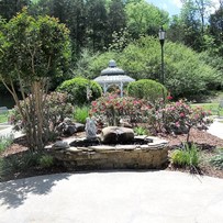 Image of Viva Senior Living at Lincoln (2)