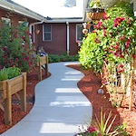 Image of Wheatridge Care Center (2)