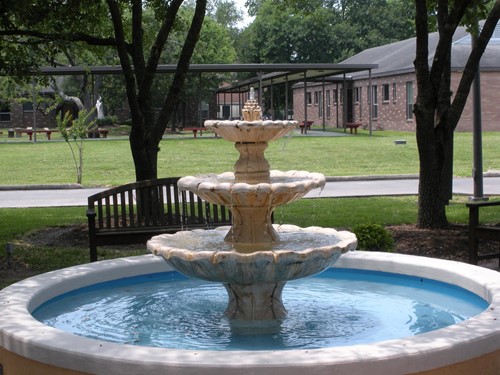 Image of St Dominic Village Nursing Home (3)
