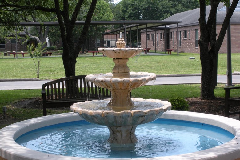 Image of St Dominic Village Nursing Home (3)