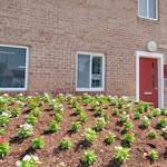 Image of Cherrydale Apartments (5)
