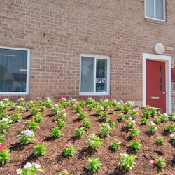 Image of Cherrydale Apartments (5)