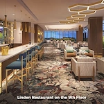 Image of The Pinnacle - Coming Soon (9)