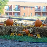 Image of The Village at Holiday (5)