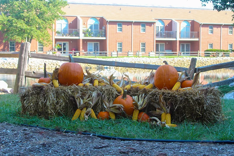 Image of The Village at Holiday (5)