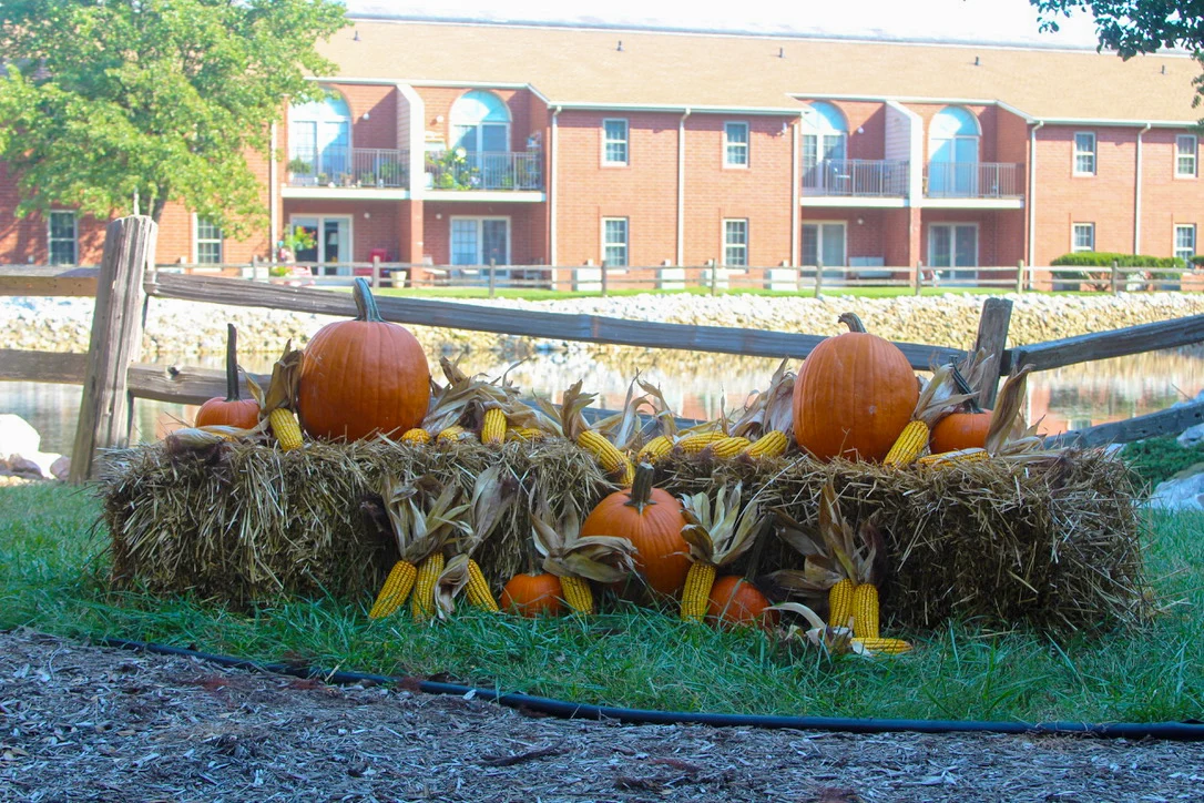 Image of The Village at Holiday (5)