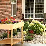 Image of The Meadows of Kalida Skilled Services (6)